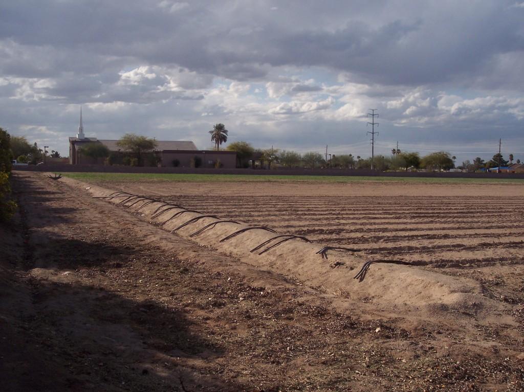 1220 E Baseline Rd., Phoenix, AZ 85042