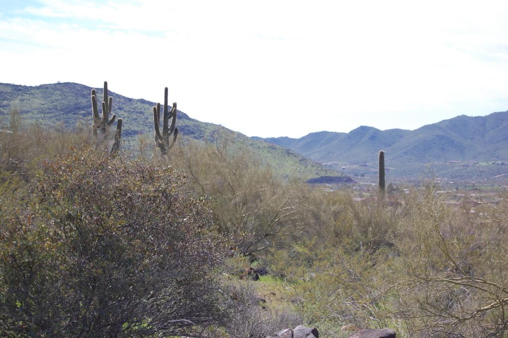 44900 N 14th St., Phoenix, AZ 85087