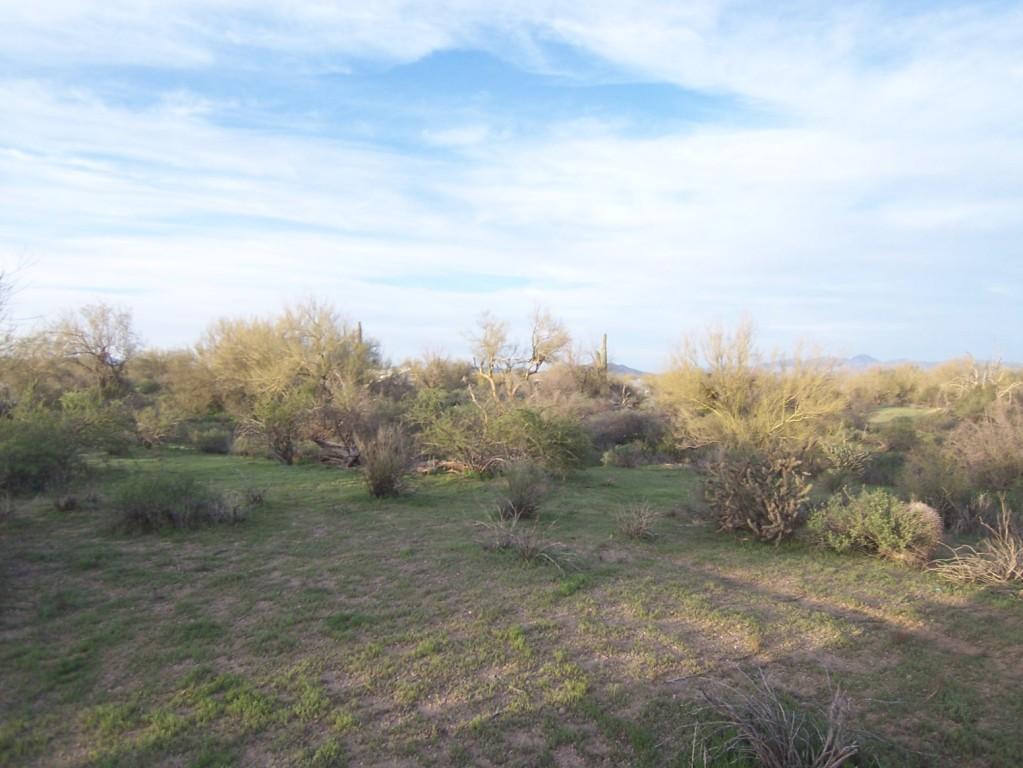 308xx N 164th St., Scottsdale, AZ 85262