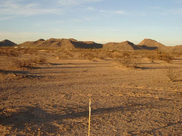 54802 W Adele Rd. #2, Maricopa, AZ 85139