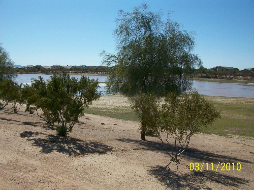 42840 W Sunland Dr., Maricopa, AZ 85138