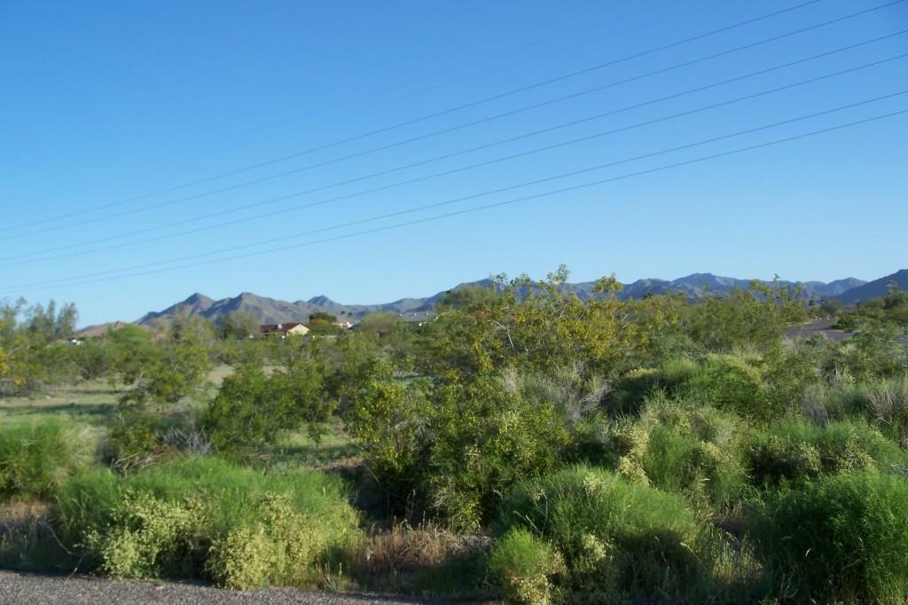 HAMMOND N 231 Ave. #66, Buckeye, AZ 85326