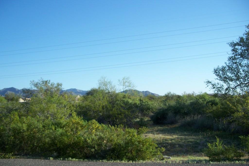 HAMMOND N 231 Ave. #67, Buckeye, AZ 85326