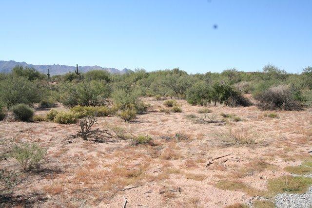 143xx E Dale Ln. #219-39-393A, Scottsdale, AZ 85262