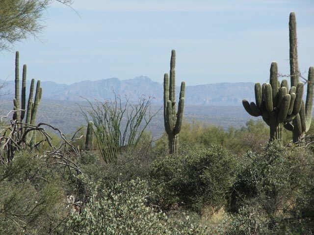 320xx N 164 St. #219-41-104C, Scottsdale, AZ 85262