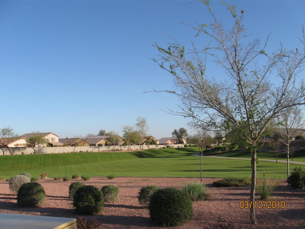 16411 W Cottonwood St., Surprise, AZ 85388