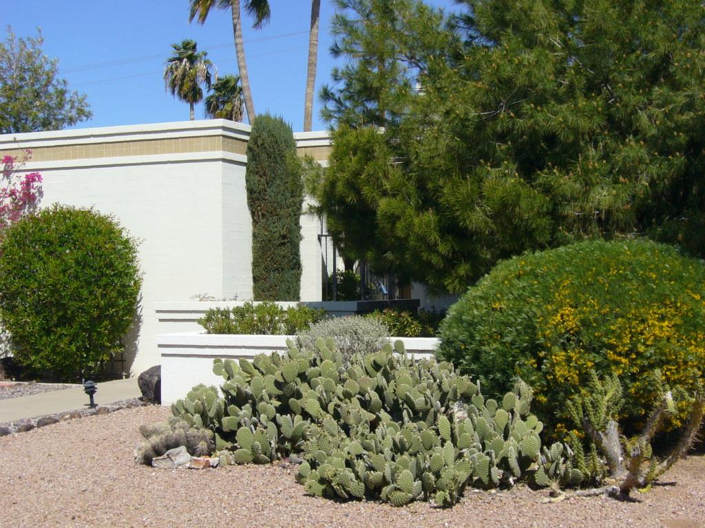 6302 E Avalon Dr., Scottsdale, AZ 85251