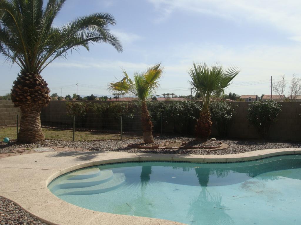 13202 N 56th Ave., Glendale, AZ 85304