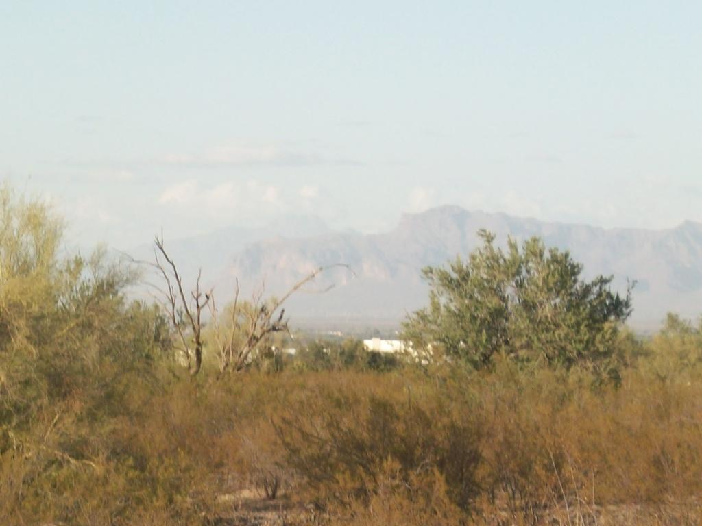 W Silverdale Rd. #D, Queen Creek, AZ 85242