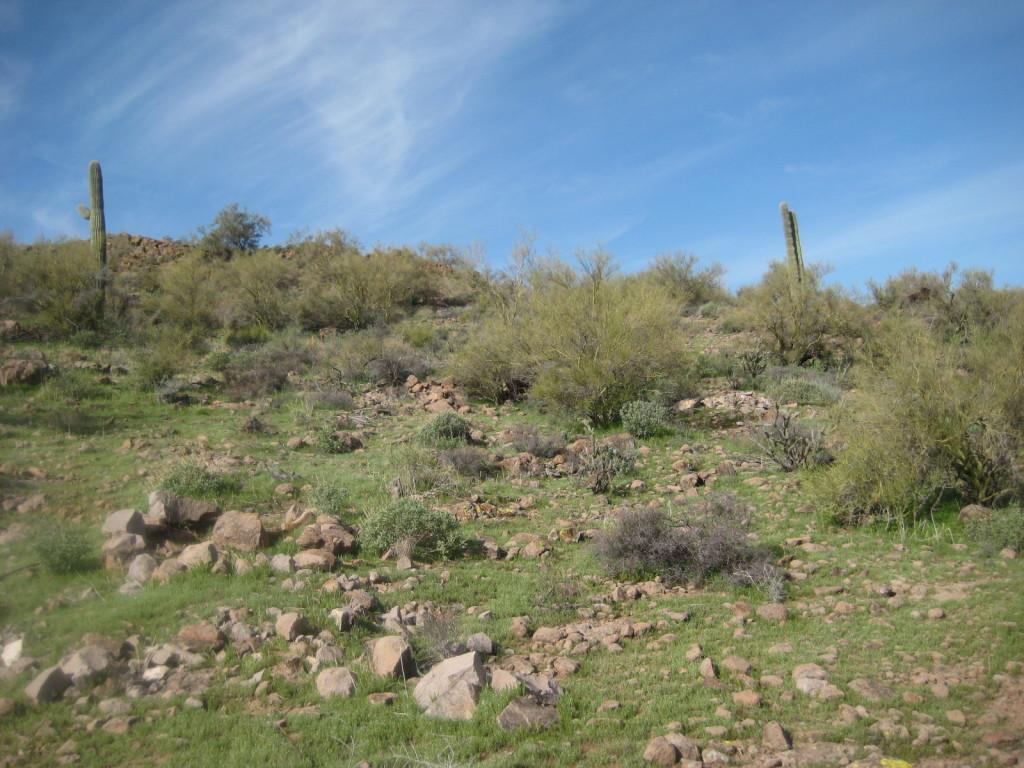 42926 N 10 St. #Metes and Bounds, New River, AZ 85087