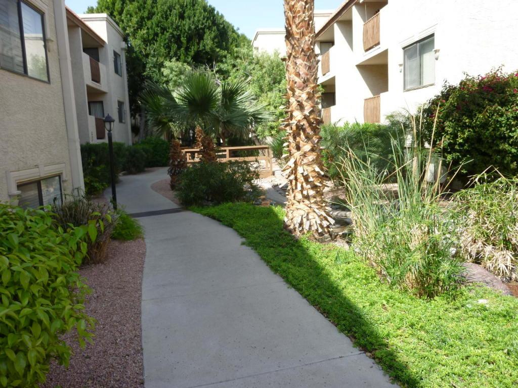 3031 N Civic Center Plz. #352, Scottsdale, AZ 85251