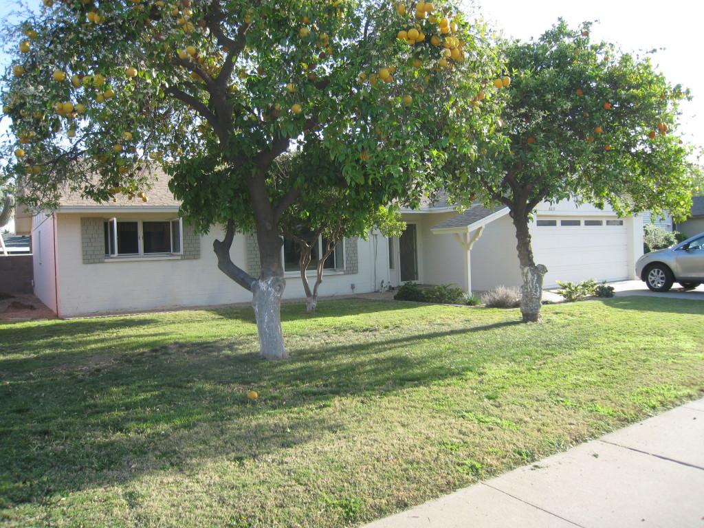 8619 E Rose Ln., Scottsdale, AZ 85250