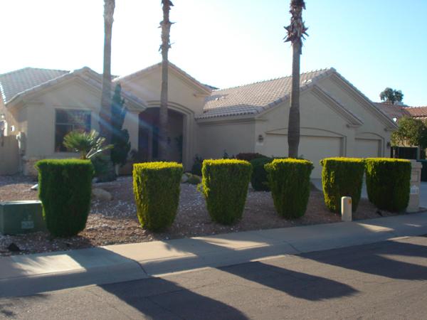 15418 N 62nd St., Scottsdale, AZ 85254