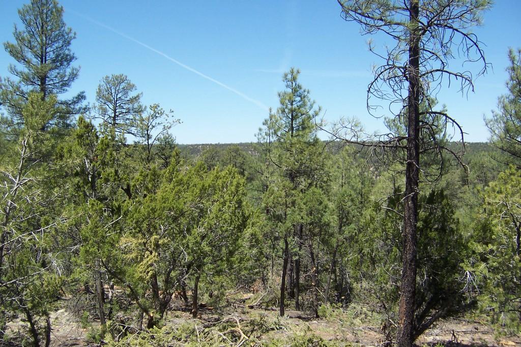 3328 Alaskan Pl. #L, Heber, AZ 85928