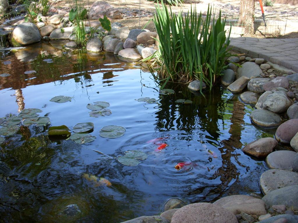 12734 W Cercado Ln., Litchfield Park, AZ 85340