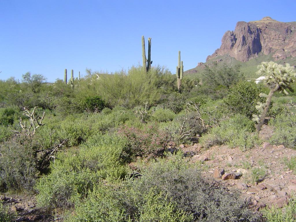 5700 E Pioneer (aprox) Rd., Apache Junction, AZ 85119