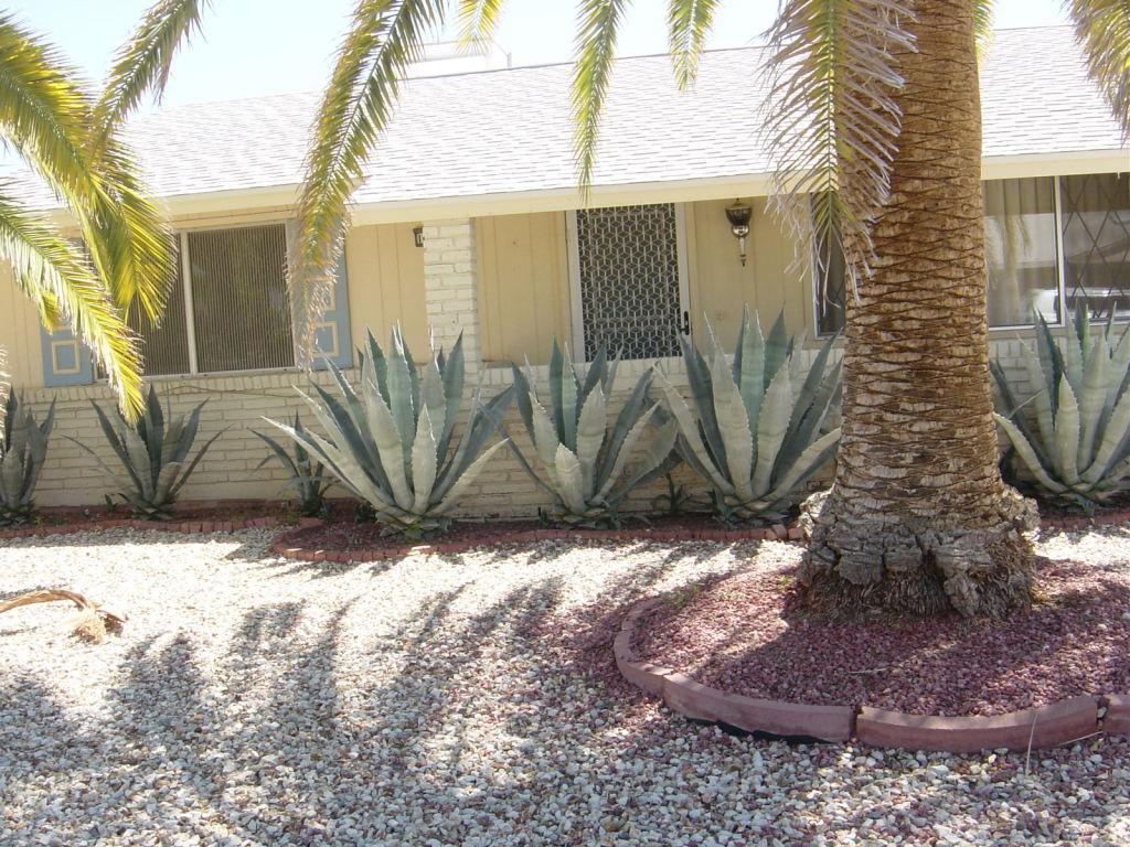 10735 W El Capitan Cir., Sun City, AZ 85351