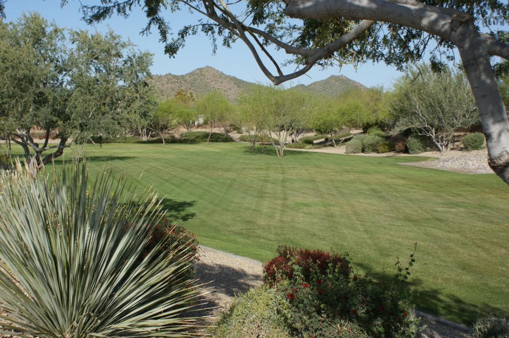 6015 W Oberlin Way, Phoenix, AZ 85083