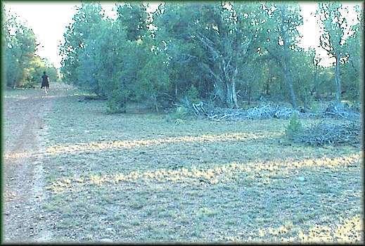 008 Sunset Ridge Tr., Aripine, AZ