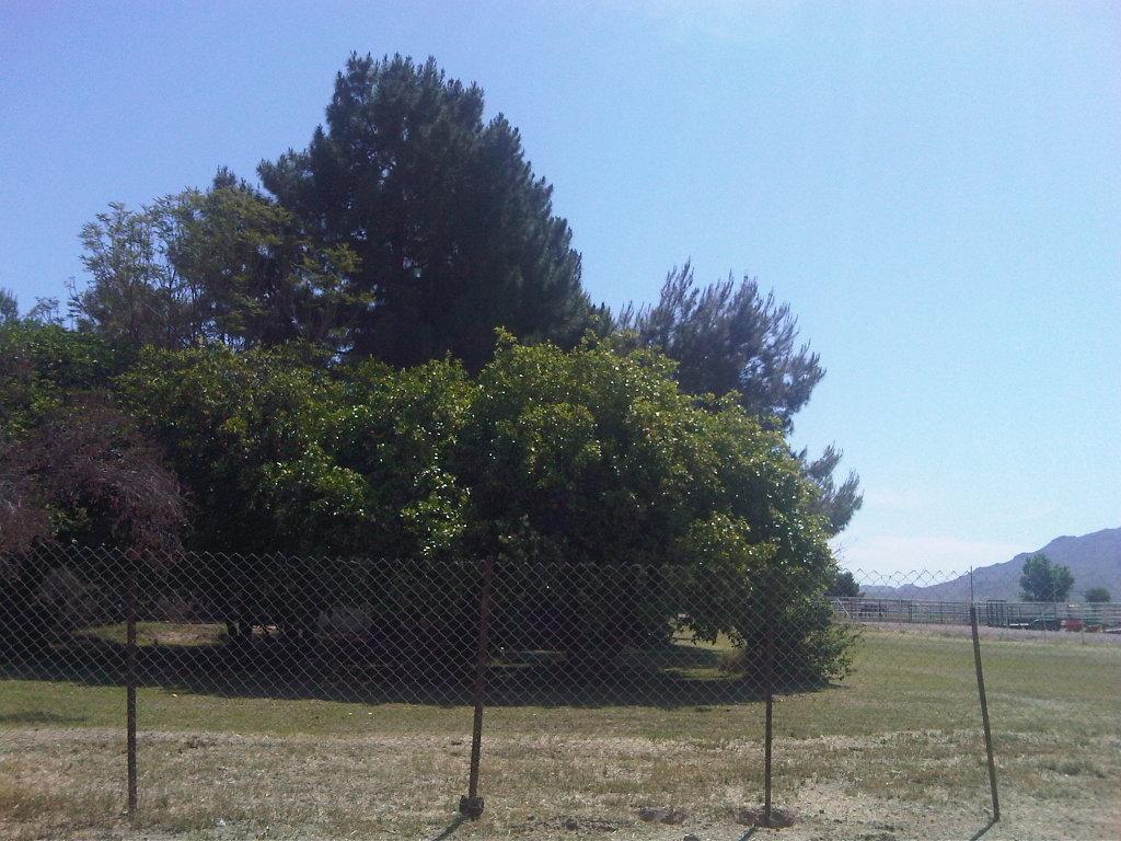 25801 S Val Vista Dr., Gilbert, AZ 85298