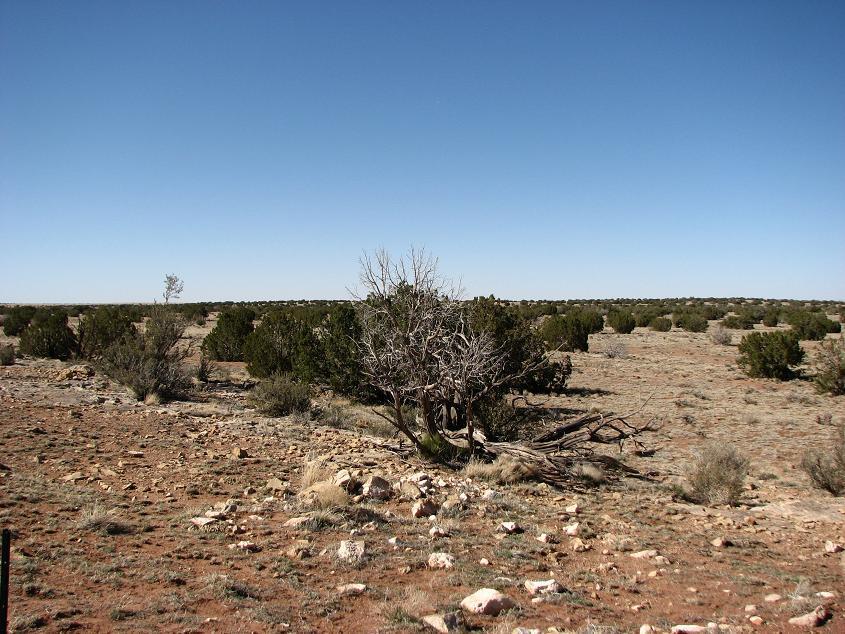 Sec.6 Chevelon Retreat #1, Heber, AZ 85928