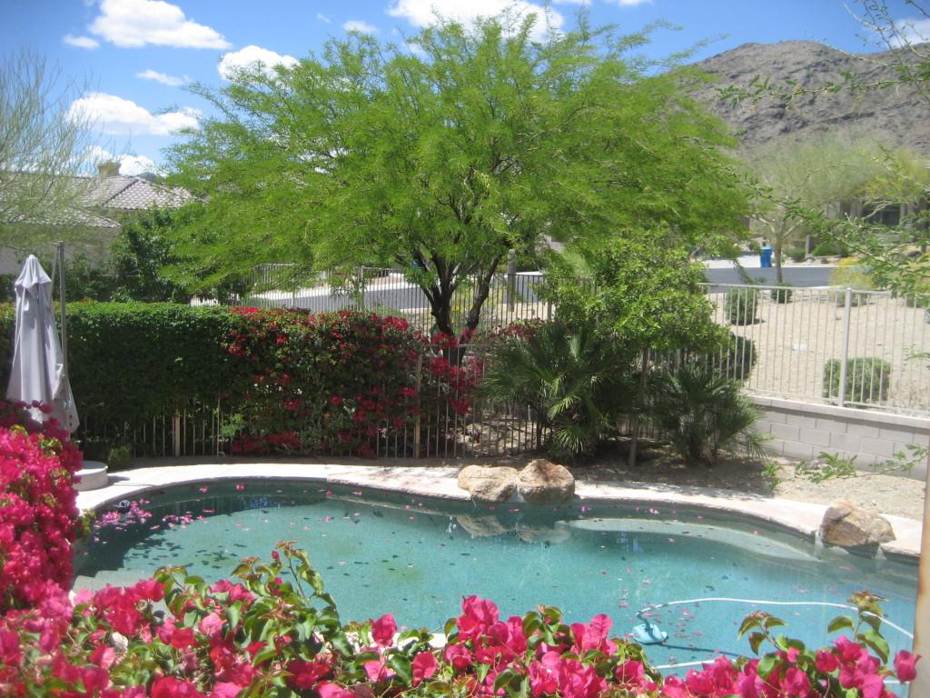 244 W Desert Flower Ln., Phoenix, AZ 85045