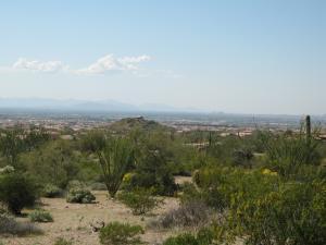 3516 N Jasper Mountain Cir. #23, Mesa, AZ 85207