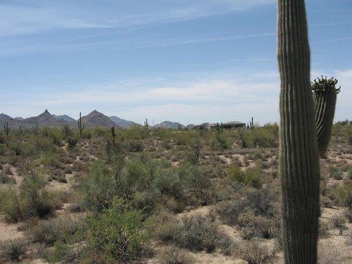 8625 E Dixileta Dr., Scottsdale, AZ 85266