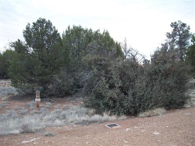 LOT 17 W Talking Rock Ranch #17, Prescott, AZ 86303