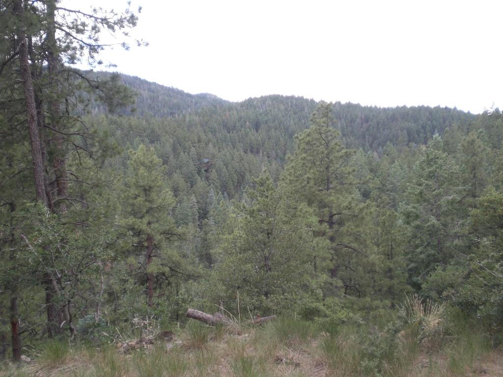 E Sheldon Rd., Prescott, AZ 86303