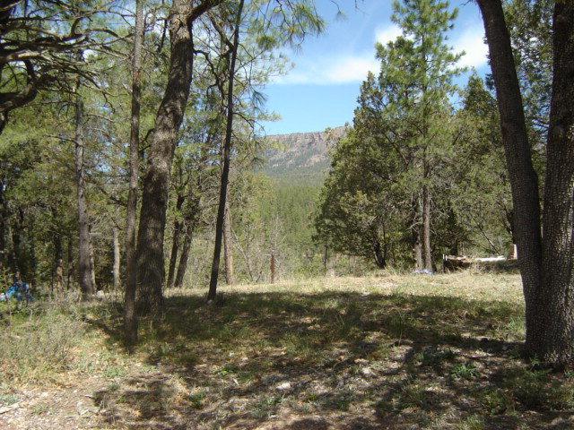 12 Hillcrest Rd., Christopher Creek, AZ 85541