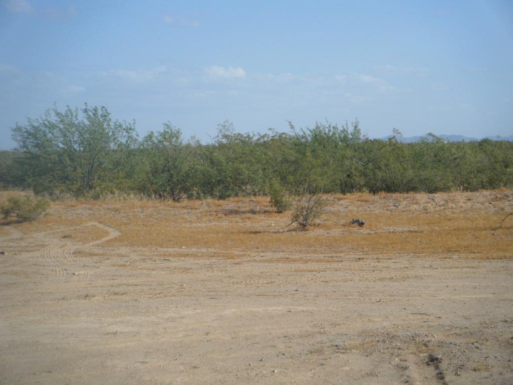 E Arizona Farms Rd. #NA, Florence, AZ 85232