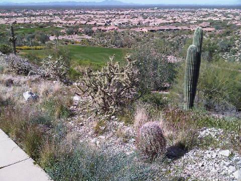 5234 S Avenida Corozon De Oro St. #14, Gold Canyon, AZ 85218