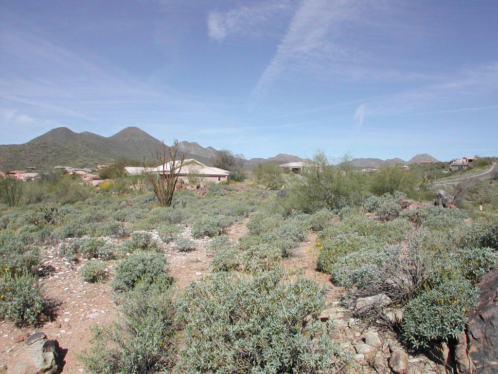 15240 N Elena Dr. #51, Fountain Hills, AZ 85268