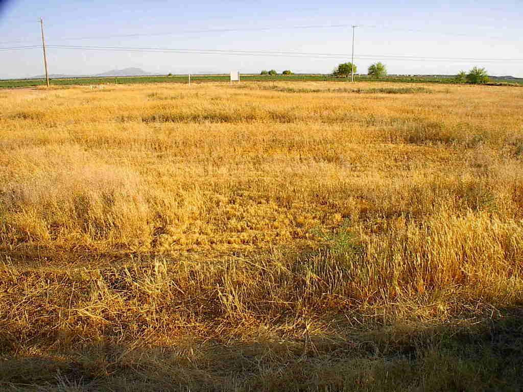 10934 E Arizona Farms Rd., Florence, AZ 85132