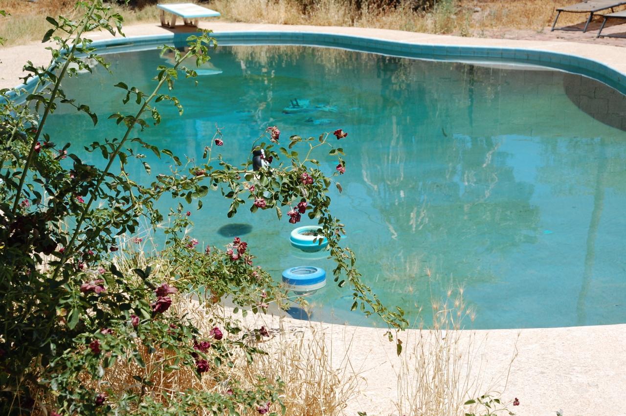 1938 E Watson Dr., Tempe, AZ 85283