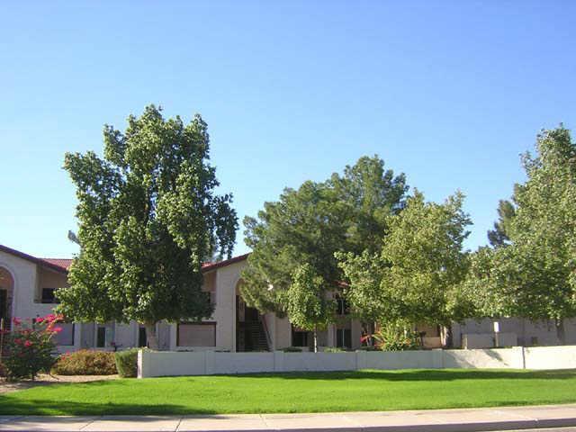 10610 S 48th St. #1033, Phoenix, AZ 85044