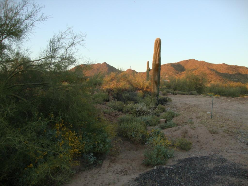 81xx E Rochelle St., Mesa, AZ 85207