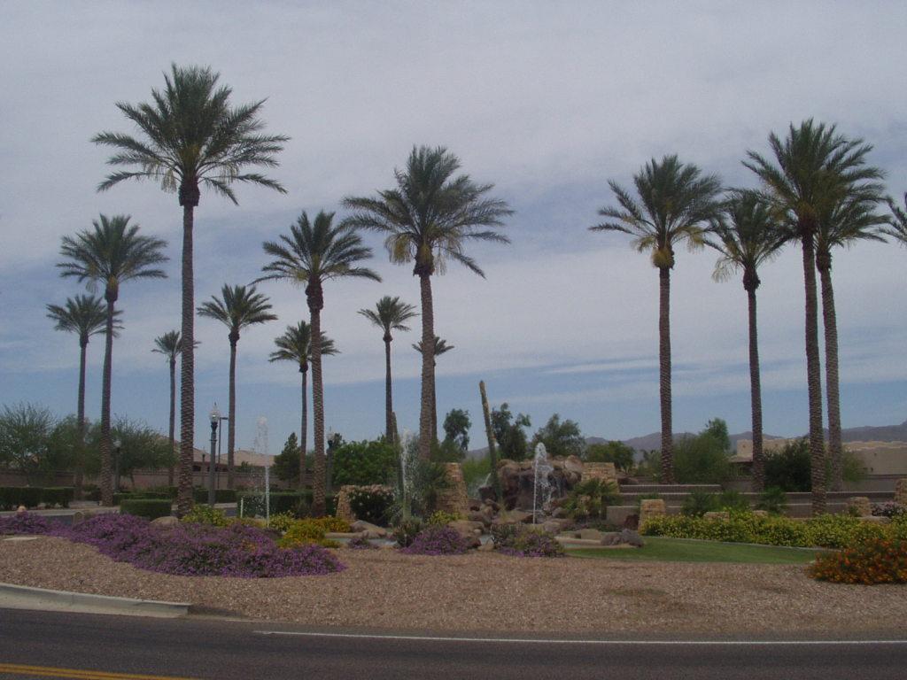 18143 W Missouri Ave. #113, Litchfield Park, AZ 85340