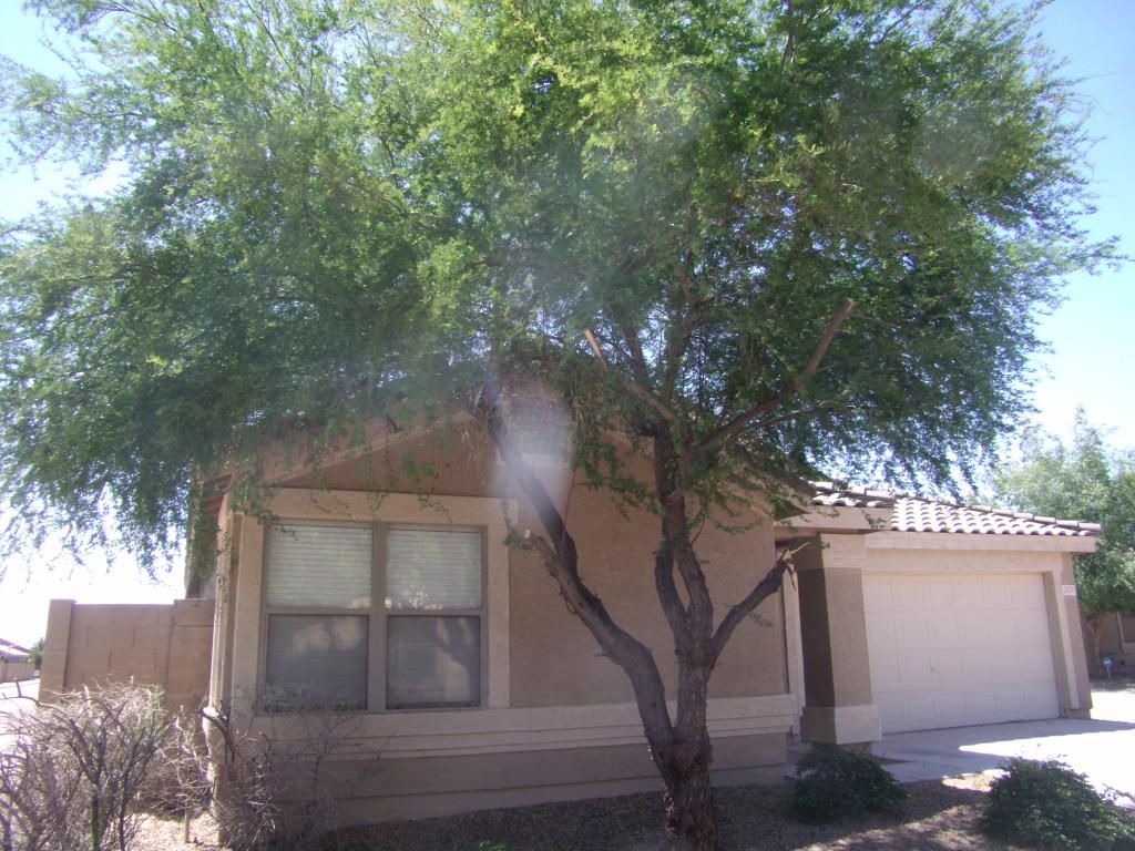 2330 E Palm Beach Dr., Chandler, AZ 85249