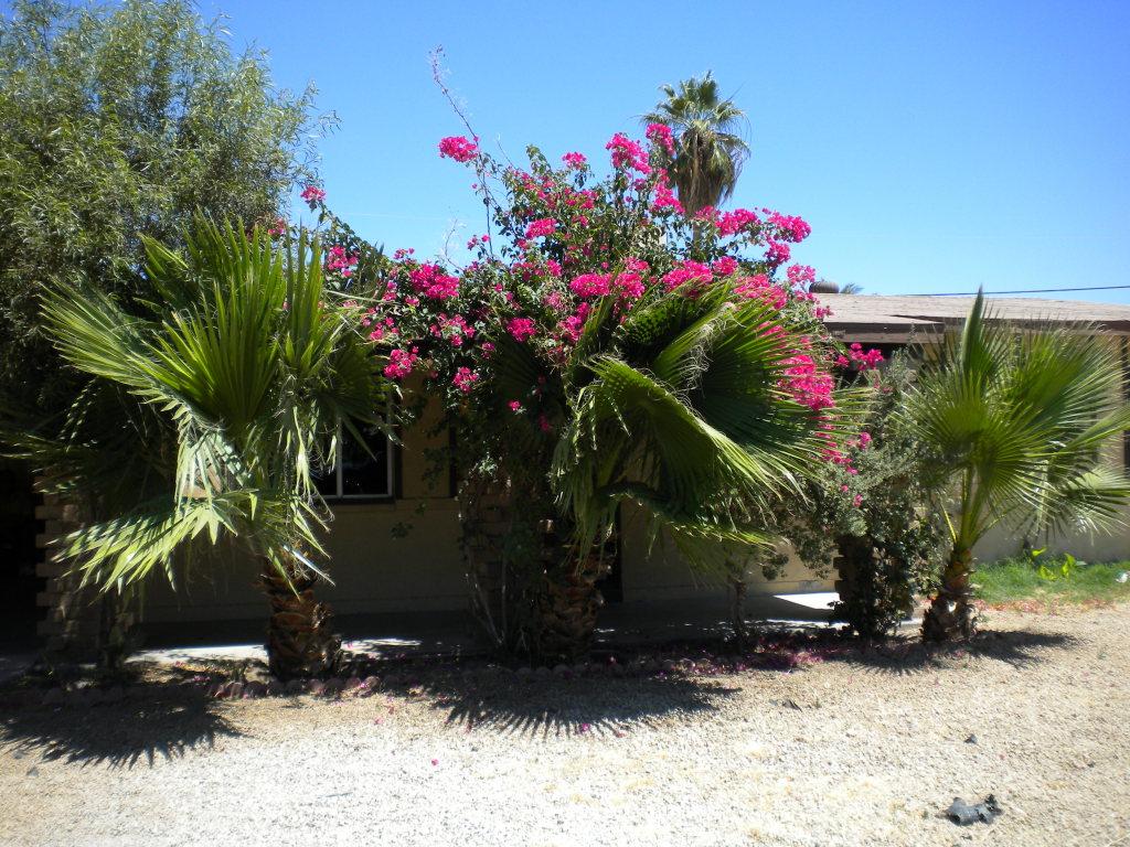 6248 W Mariposa St., Phoenix, AZ 85033