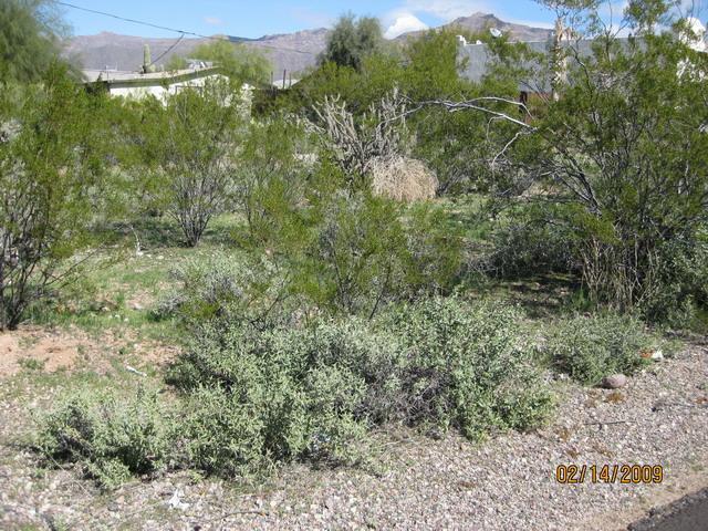 5810 S Estrella Rd. #77, Gold Canyon, AZ 85218