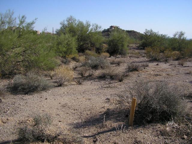 8055 E Palm Ln. #m, Mesa, AZ 85207