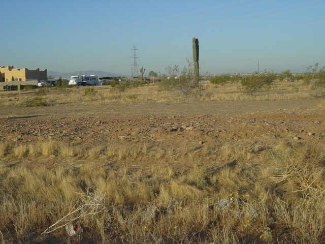 23024 N 107th Ave. #Z, Sun City, AZ 85373