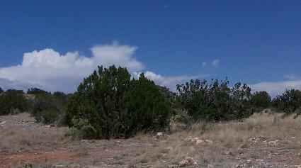 Sec.12 Chevelon Retreat #023, Heber, AZ 85928