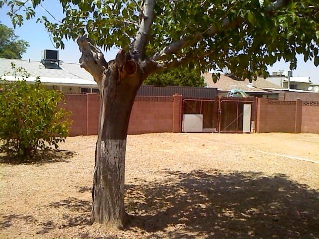 14028 N 33rd Dr., Phoenix, AZ 85053