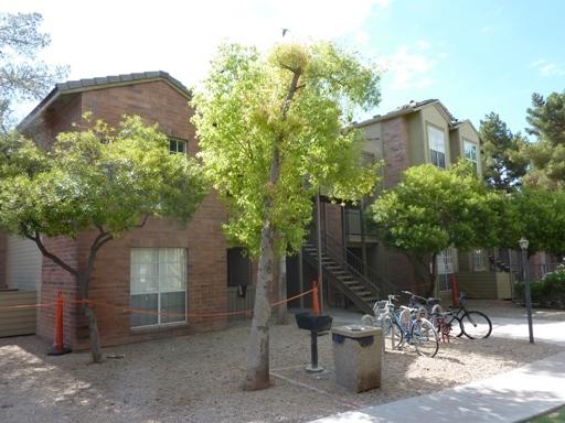 200 E Southern Ave. #166, Tempe, AZ 85282