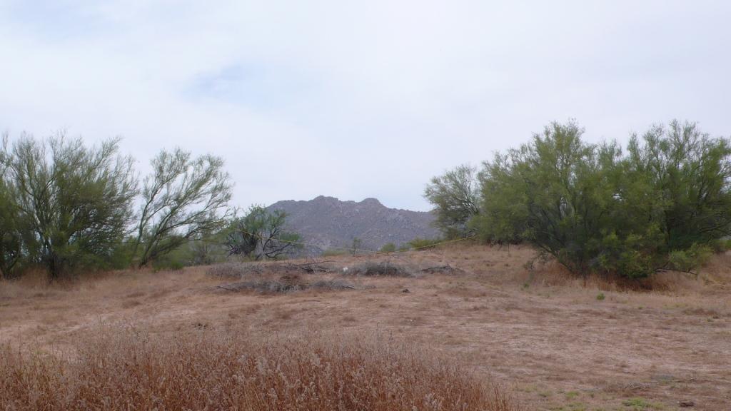 XXXX E Cavedale Dr. #4, Scottsdale, AZ 85262