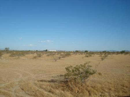 50415600 E Mcdowell Rd., Buckeye, AZ 85326