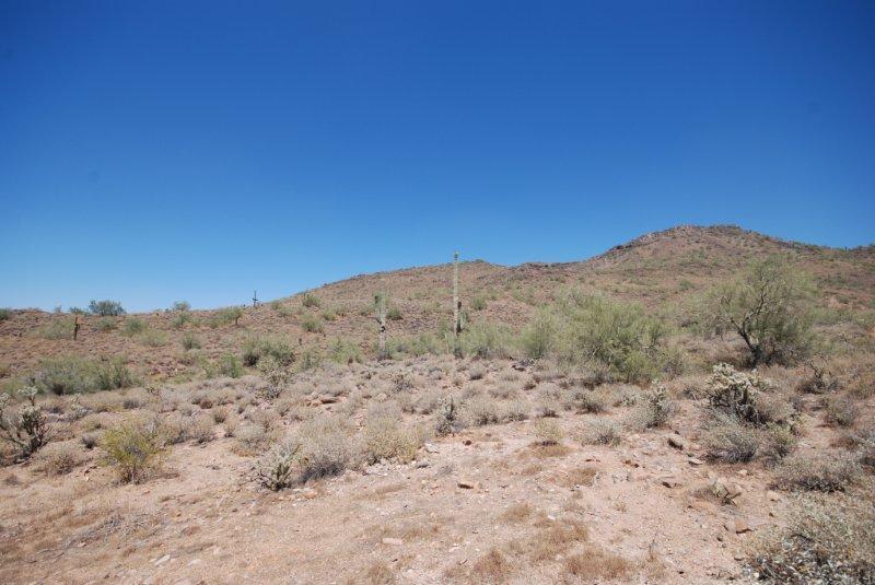 2404 W Espartero Way #7, Phoenix, AZ 85086